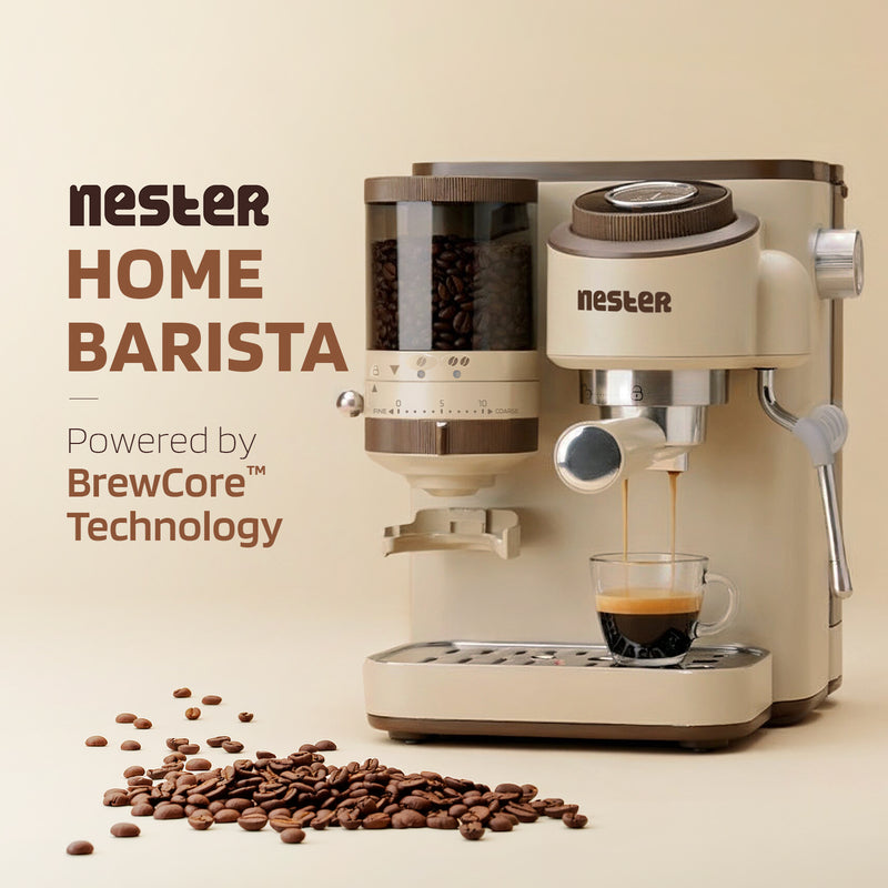 Nester Home Barista- Dalgona Brown